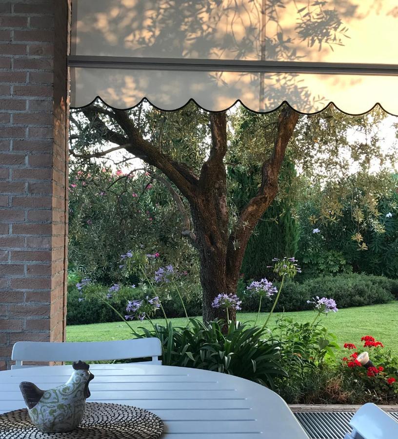 Villa Archi B&B San Pietro in Cariano Exteriör bild
