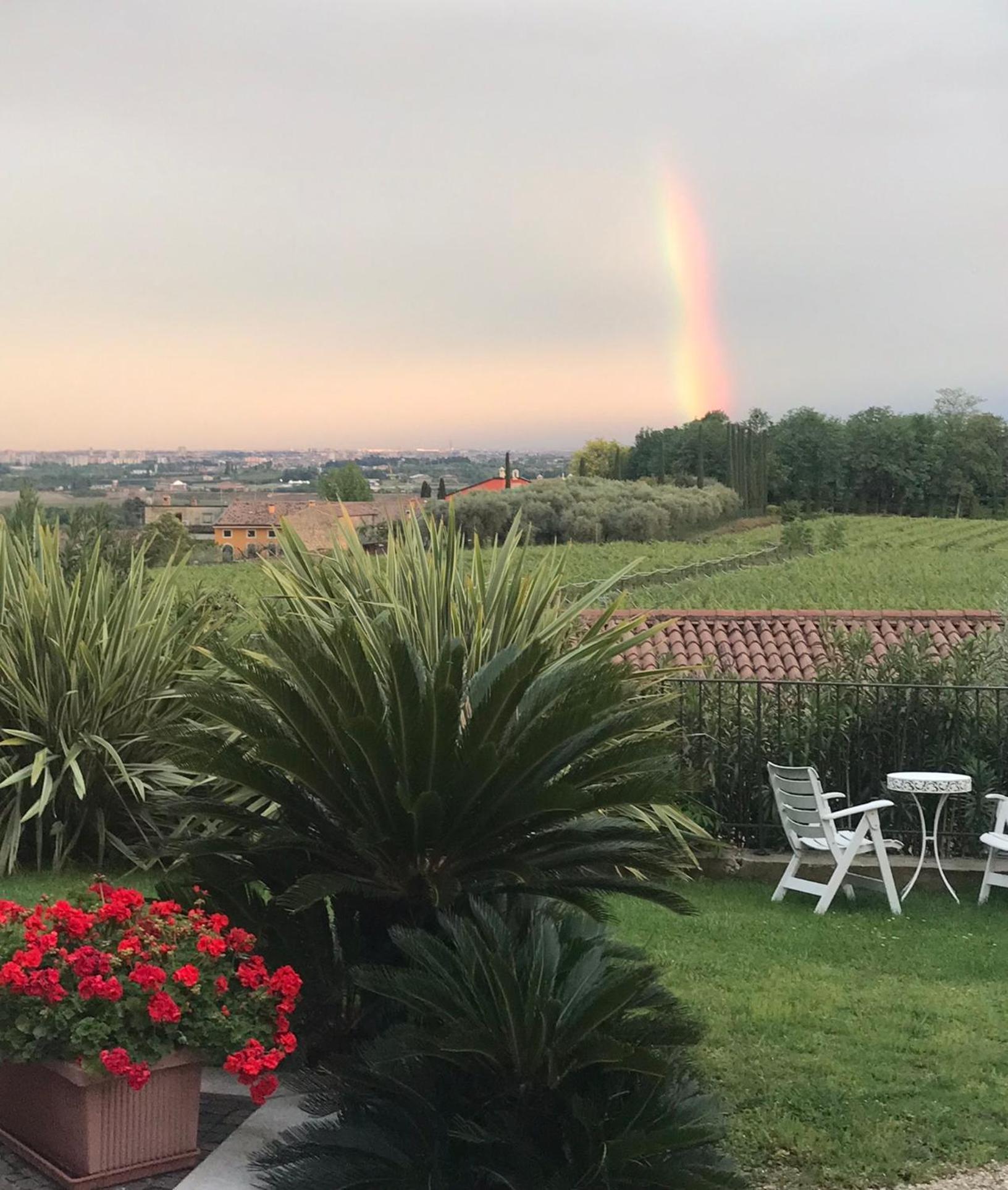 Villa Archi B&B San Pietro in Cariano Exteriör bild
