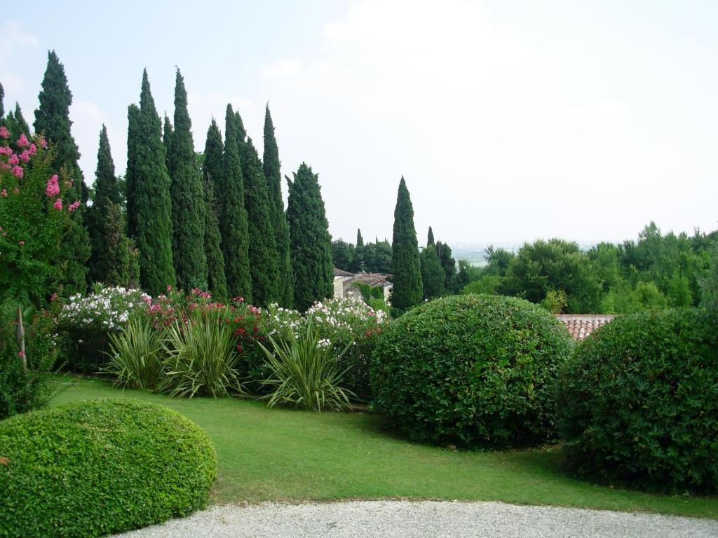 Villa Archi B&B San Pietro in Cariano Exteriör bild